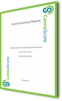 audit summary