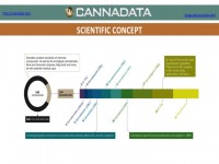 A flowchart breaking down the chemical composition of cannabis