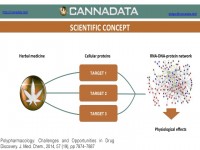 A flowchart of the scientific concept behind herbal medicine research