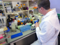 Schwartz doing sample preparation on the lab bench.