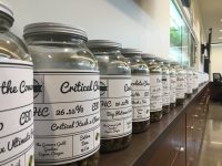 The shelves of Sproutly boast over 75 strains of cannabis from Jacques' farm. 