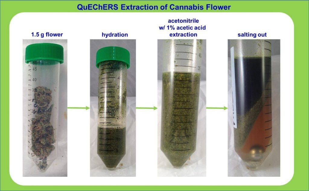 Modified QuEChERS extraction using 1.5 grams of cannabis flower. Courtesy of Julie Kowalski (Restek Corporation), Jeff Dahl (Shimadzu Scientific Instruments) and Derek Laine (Trace Analytics). 